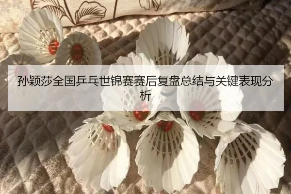 sun-ying-sha-quan-guo-ping-pang-shi-jin-sai-sai-hou-fu-pan-zong-jie-yu-guan-jian-biao-xian-fen-xi-2-899.jpg